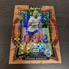 ANTONEE ROBINSON サッカーカード 45/75