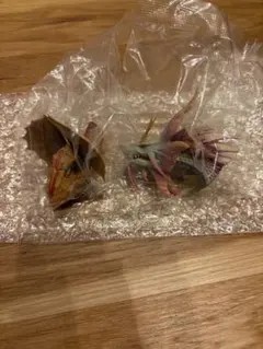 一番くじ モンスターハンター C賞 モンスターヘッドマグネット