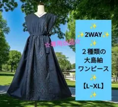 2WAYです♢割り込み絣✕男大島♦️大島紬マキシ丈ワンピース②♦️着物