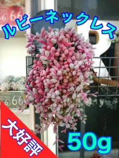 りんごママ様 リクエスト 2点 まとめ商品