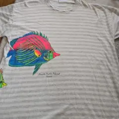 South Padre Island Tシャツ X-LARGE USA製