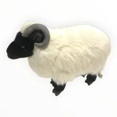 ケーセン 羊 KÖSEN seltene Heidschnucke ぬいぐるみ - メルカリ