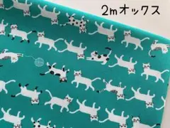 2m　猫　ネコ　オックス　コッカ　 KOKKA　ミント　583