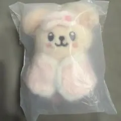 stray kidsスキズ ペンミ 10cm ぬい　スンミン　パピム