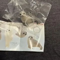 アザラシ マーカーチャーム 見返り(ゴマ) ガチャ