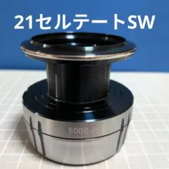 ⑮ 21セルテートSW　5000 6000 スプール 23ソルティガ6000のサムネイル