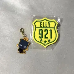 三代目JSB 購入特典 キーリング えりぱん ピンバッジ ELLY