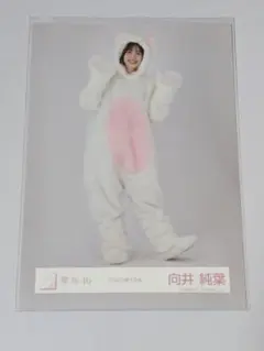 2026年最新】向井純葉の人気アイテム - メルカリ