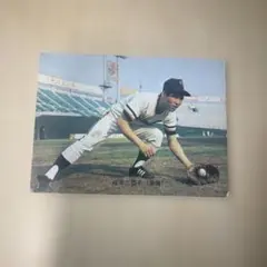 2025年最新】カルビープロ野球カード1973の人気アイテム - メルカリ