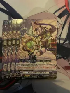 スチームスカラー サルゴン 4枚セット