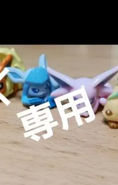 専用ページ