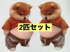 お腹ぷにぷにシール ステッカー 3D 立体