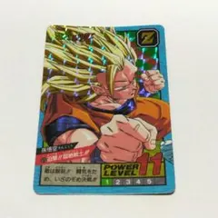 ドラゴンボールカードダス　孫悟空 1995年製 ドラゴンボール カードダス 孫悟空 レア 1995年版 希少