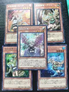 憑依装着　シークレット　5枚