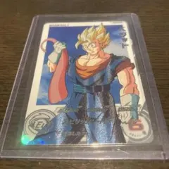 ドラゴンボールZ スーパーバトル カード 2枚セット&アマダPPカード3枚