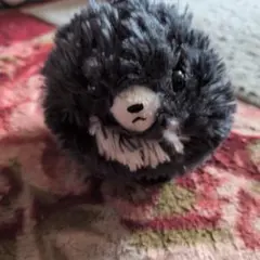 ふわもふポメたん ぬいぐるみ マスコット