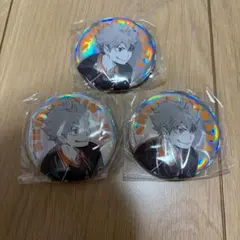 日向翔陽　ポートレートシャイニー　缶バッジ