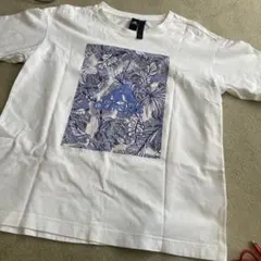 adidas Tシャツ　Mのサムネイル