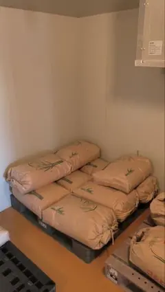 【たんぽぽ様専用】（餅米玄米）10キロ 　takatakartakatakar