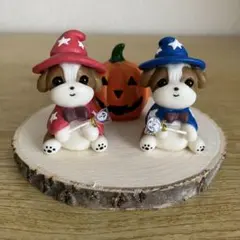 ふたりのシーズー♡ハロウィン╰(*´︶`*)╯♡ハンドメイド粘土