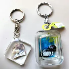 Item thumbnail for item db129330-9199-4b90-adf2-fe6fc18c2090