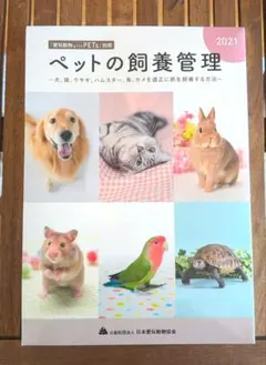 Item thumbnail for item acba29fd-418c-47dc-a997-a8ab919faa57