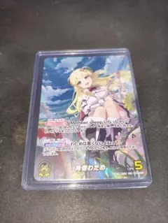 1278.Chaos 真・恋姫無双 限定非売品 デッキセパレーター - メルカリ