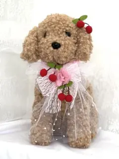 お迎え待ち】ふわふわ水色リボンのトイプーちゃん ※アクリルケースつき