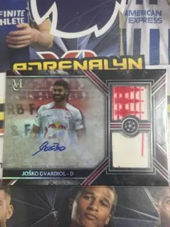 Item thumbnail for item 2ed99daa-39aa-4b8b-b417-8bedea81eb2e