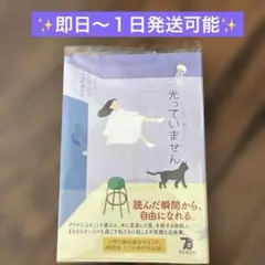 ✨美品✨光っていません