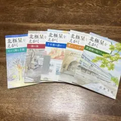 北極星をえがく 岩井圭也 5冊セット