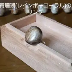 2025年最新】深海松の人気アイテム - メルカリ