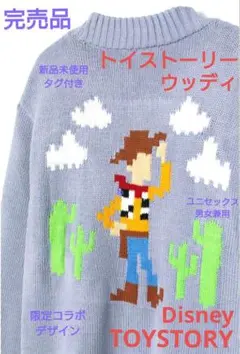 トイストーリー 激レア ニットカーディガン ブルーパープル Disney 海外S
