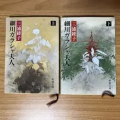 Item thumbnail for item ba08b7d7-5d55-47ee-b23d-a6c5d94b57d9