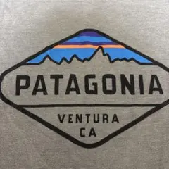 PATAGONIA Tシャツ S (7-8) グレー