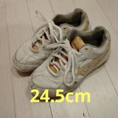 Item thumbnail for item 507074a8-3b35-4975-a450-052e132cb181