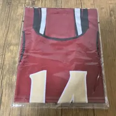 越谷アルファーズ　14番大庭岳輝選手　レプリカユニホーム（M）2025-2026