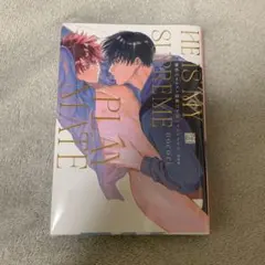寮舎のイケメン同僚は至高のプレイメイト 完全版