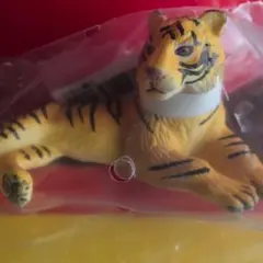 Item thumbnail for item cc7e1d52-2d3f-40e6-9f4a-1288013b416b