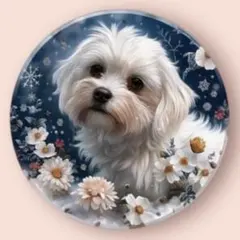 Item thumbnail for item 2d93bd6a-55c9-465a-bb10-252c82c927f4