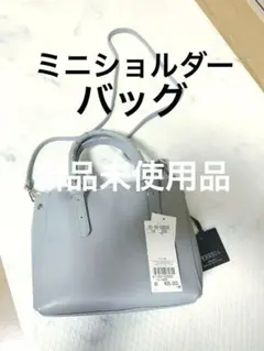 イタリア製牛革 ミニバッグ fxa FERRIRA