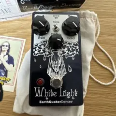 【美品】earthquaker devices white lightのサムネイル