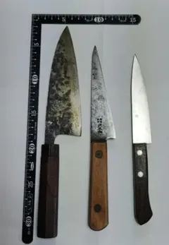 Item thumbnail for item 629ae46b-8e03-4656-8663-3c08511a95bd