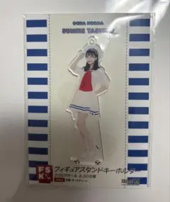 田代すみれ FSK アクスタ 纏め売り 田代すみれ FSK アクスタ 纏め売り