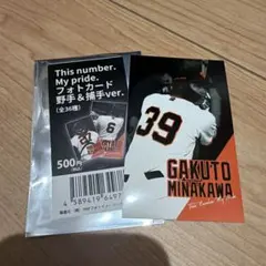 ジャイアンツ 皆川岳飛 フォトカード