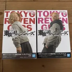 東京リベンジャーズ 2体セット佐野万次郎 龍宮寺堅