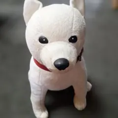 喋るお父さん犬　可愛い❗️ 2026年最新】しゃべるお父さん犬の人気アイテム - メルカリ