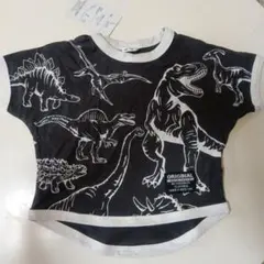 Item thumbnail for item 90df7907-fd8e-475b-968d-f1edd989545d