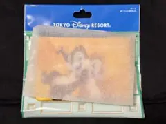 ディズニー パークチケット ポーチ チップ&デール