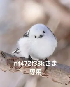 nf472f33kさま